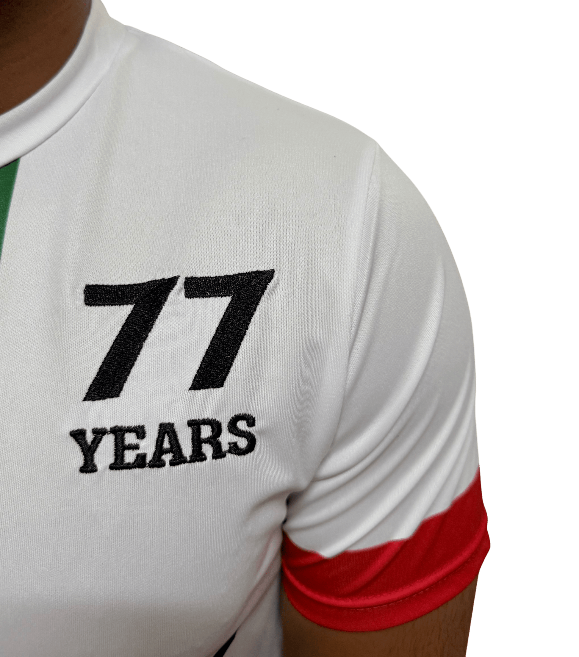 Close-up of 77 Years keffiyeh design on back of white Palestine football jersey